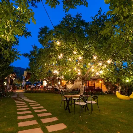 Maison d'hôtes Ephesus Kirazli (Aegean)