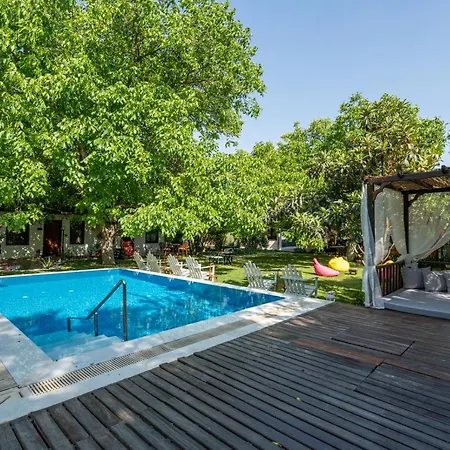 Ephesus Kirazli (Aegean)