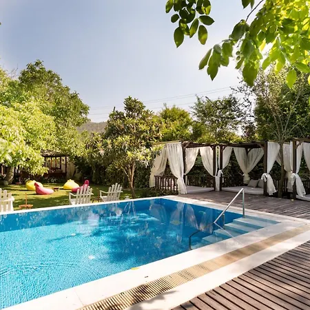 Ephesus Maison d'hôtes Kirazli (Aegean)