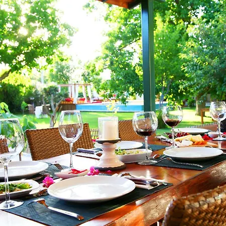 Maison d'hôtes Ephesus Kirazli (Aegean)