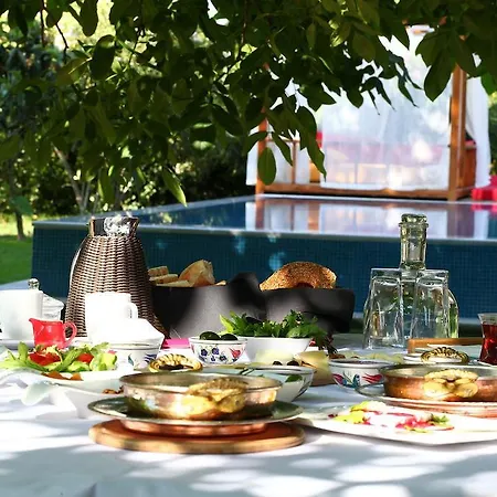 Ephesus Maison d'hôtes Kirazli (Aegean)