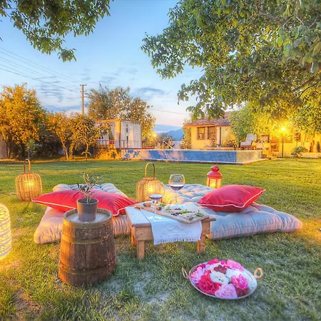 Ephesus Kirazli (Aegean)