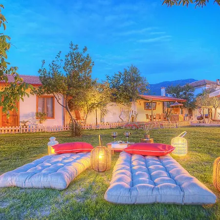 Ephesus Maison d'hôtes Kirazli (Aegean)